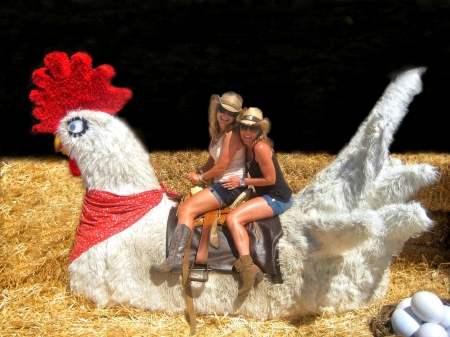 Cowgirls Can Ride It - eggs, saddle, cowgirls, rooster, boots, straw, hats, hay