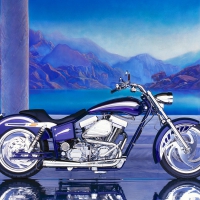 Harley Davidson Custom Bike