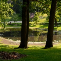 Backroads Pond