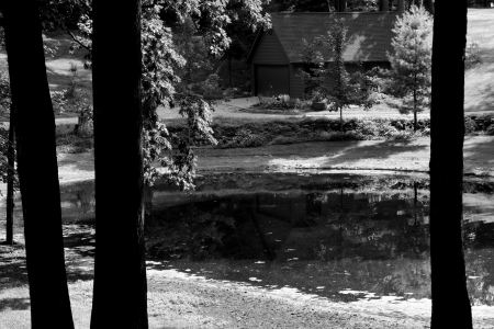 Down Home Country - country house, country scene, swamp, country road, dirt road, lagoon, pond, down home country, barn