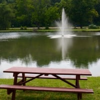 Picnic At The Park