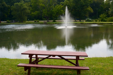 Picnic At The Park - picnic at the park, summer picnic, picnic, summer falls, summer park