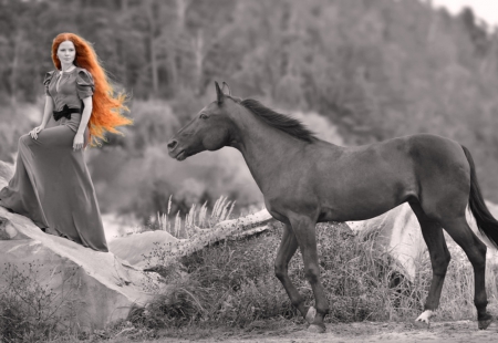 Towards the sun, wind and water - nature, horse, woman, red hairs