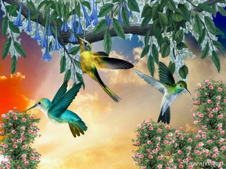 HUMMINGBIRDS FEEDING - creation, hummingbirds, abstract, flowers