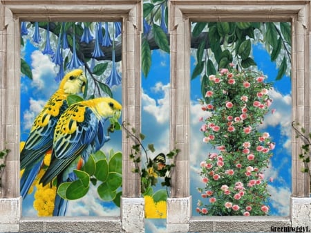 PARROTS THROUGH WINDOW - WINDOW, CREATION, PARROTS, FLOWERS