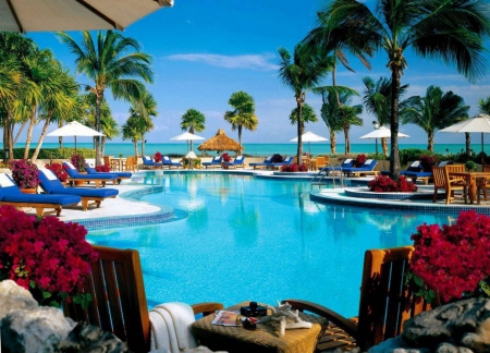 Beach Resort - chairs, pool, water, palms, sea, umbrellas