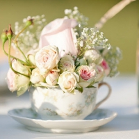 vintage teacup & roses