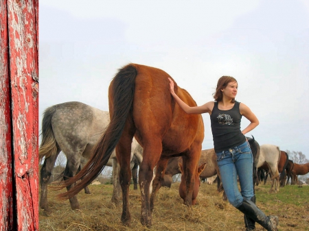 The Good Life - women, fun, girls, female, cowgirs, boots, outdoors, rodeo, horses, ranch, barns