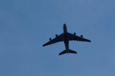 Big bird above my head - aircraft, technic, planes, amazing