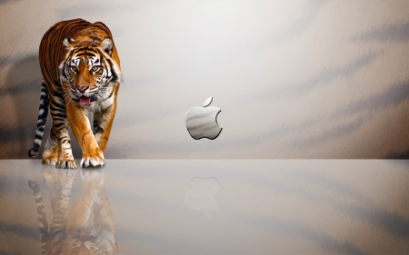 Apple wallpaper - sign, design, colorful, computer, foto, company, lovely, logo, beautiful, animal, splendor, color, apple, tiger, tech