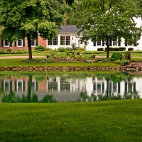 Backyard Pond