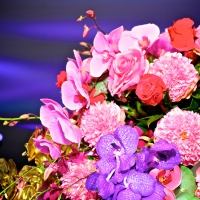 Lovely Flowers