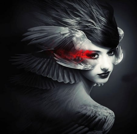 Crimson Tears - tears, bird, crimson, fantasy, feathers, dark