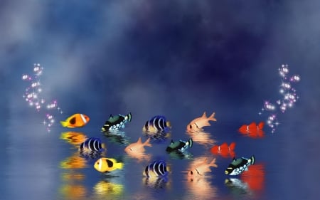 Reflecting Fish - abstract, water, blue, air, pink, orange, black, red, bubbles, reflecting, airbubbles, bunch, fish