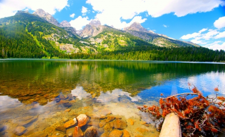 Summer In Grand Teton - lake, mountain, forest, national park, clouds, beautiful, summer, crystal clear water