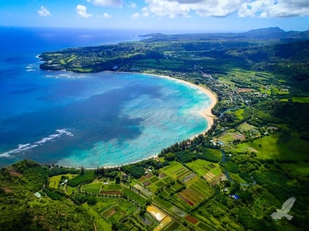 Hanalei Bay Panaroma - ocean, landscape, hanalei, wallpaper, hawaii, bay, bird, panaroma, nature, flying, oceans, view, town, panoramic view, beautiful, new