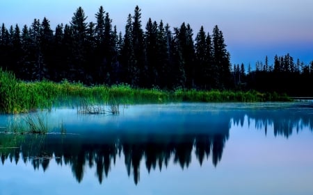 Early Morning - trees, fog, blue, morning, forest, reflection, nature, green, lake, early, sky