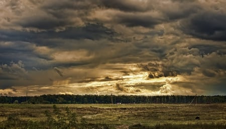 The beginning of the storm - fields, trees, clouds, storm