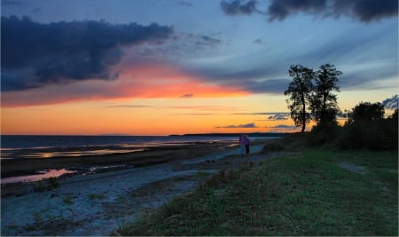 Sunset - beach, sunset, trees, sea