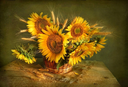 Still life - pretty, vase, sunflowers, beautiful, lovely, still life, bouquet, harmony, flowers