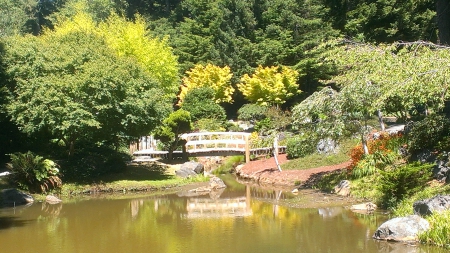 Tranquil Japanese Garden, - bridge, japanese garden, nature, water