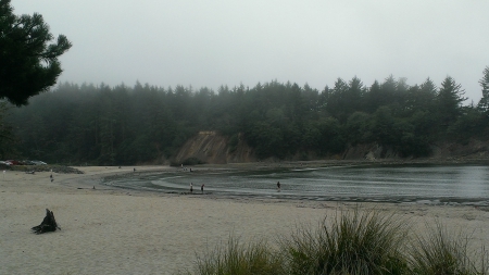 Quiet Beach - Beaches, Water, Nature, Tranquilty