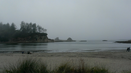 Tranquil Oregon Beach - Coves, Beaches, Water, Nature