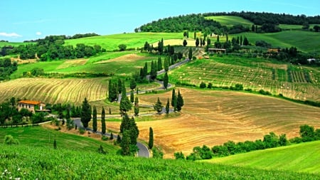 Toscana (Tuscan road)_Italy - monument, countryside, landscapes, Rome, Road, Street, colors, architecture, Italia, Architecture, village, river, lights, Colosseo, italy, building, antique, Anfiteatro Flavio, hills, town, Coliseum, medieval, old, view, houses, sky, sun, ruins, castle, Roma, trees, fields, ancient, Italy, panorama