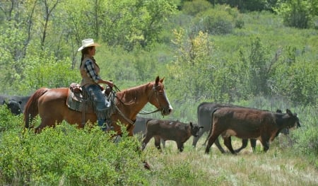 Working Cowgirl - hat, saddle, cowgirl, trees, cattle, chaps, bushes, horse