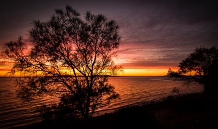 Port Lincoln, Australia - sky, clouds, beach, tree, sea, sun