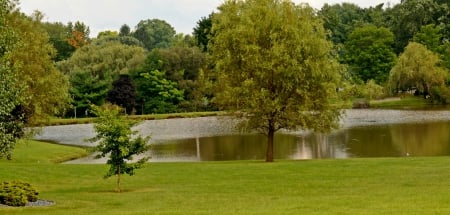 Lake Side - peaceful lake, summer lake, Lake Side, scenic lake, little lake