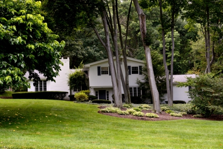 House On A Hill - luxury, house on a hill, hilltop, lavish house, luxurious house, beautiful house