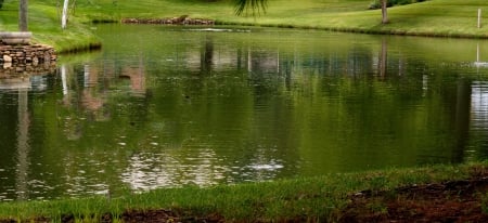 Lake Reflections - pretty lake, lake reflections, reflections, scenic lake, little lake