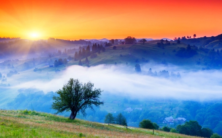 Mountain view - tree, nature, mountain, sunshine