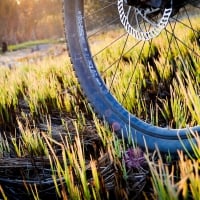 Mountainbike in a Swamp