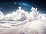 White Desert