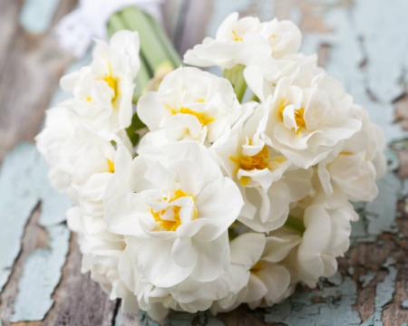 White Bouquet - flowers, bouquet, white, petals