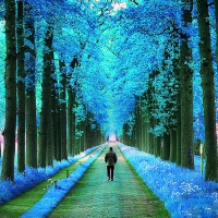 'Walking in the blue Parks'