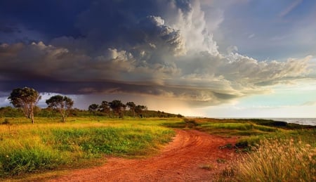 Clouds - fields, trees, sea, clouds