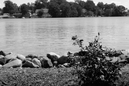 Little Old Lake - pretty lake, little old lake, summer lake, scenic lake