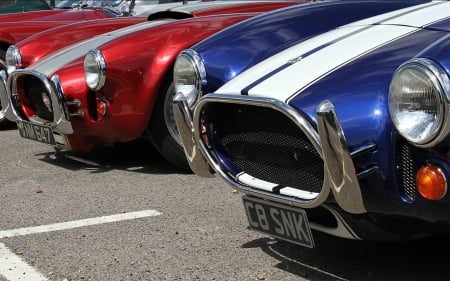 Front Grills of Ford Cobra's - cobra, bumpers, cars, ford