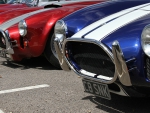 Front Grills of Ford Cobra's