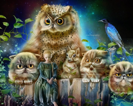 Leshibouxetleschats - abstract, girl, fantasy, owls