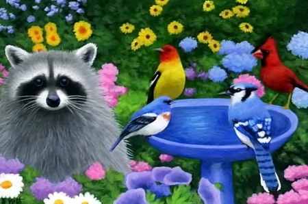 Painting - birds, raccoon, drinking, painting