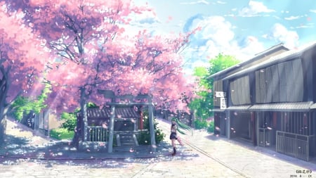 ~On A Summer Day~ - hatsune miku, building, long hair, summer, kneehighs, ponytails, vocaloid, umbrella, petals, anime, tree, cherry blossoms