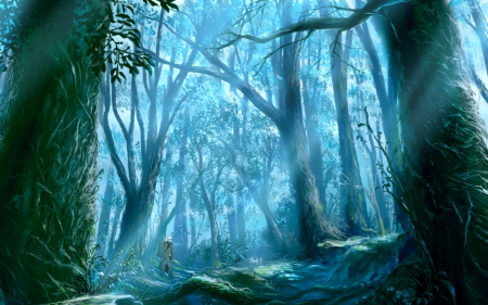 Enchanted Forest