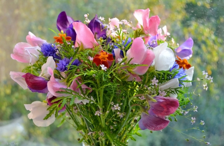 Summer bouquet - nice, beauty, fragrance, rain, colorful, bouquet, summer, lovely, nature, pretty, beautiful, scent, flowers, drops