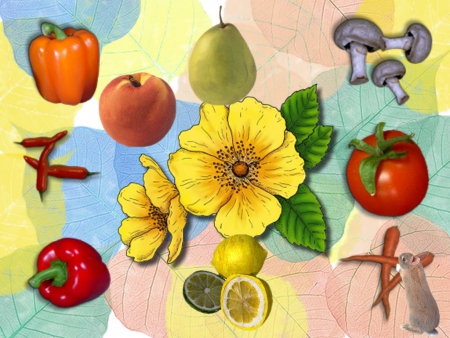 fruits - fruits, rabbit, flower, vegetables