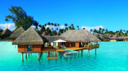 Bungalow On Crystal Clear Lagoon - summer, French Polynesia, beach, beautiful, sea, island, resort, tropical, palm trees, turquoise water, paradise