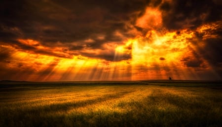 Heaven's Symphony - clouds, heaven, prairie, sun rays, beautiful, sunbeams, mystic, grass, field, golden, sky